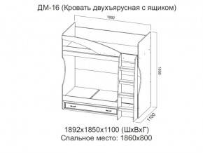 ДМ-16 Кровать двухъярусная с ящиком в Чайковском - chajkovskij.магазин96.com | фото