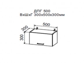 Шкаф верхний ДПГ500 горизонтальный в Чайковском - chajkovskij.магазин96.com | фото