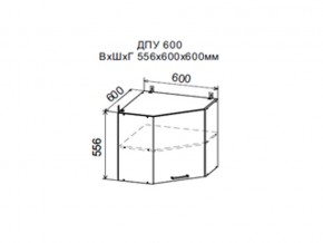 Шкаф верхний ДПУ600 угловой в Чайковском - chajkovskij.магазин96.com | фото